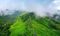 Panch Badri Yatra: Complete Guide, Travel Tips, and Essential Information