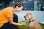LaPet India Pet shop in lucknow